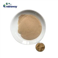 Bacillus Licheniformis Hayvancılık Katkı Maddeleri