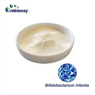 Bifidobacterium Infantis Toplu Toz