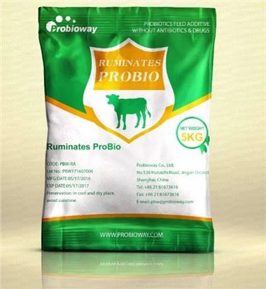 Fermente Yem Başlatıcı: Alıcıların Gerçekten Neye Önem Verdiği Konusunda Prat...