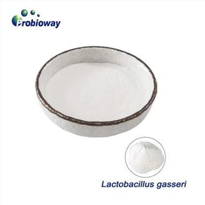 Yüksek Mukavemetli Lactobacillus Gasseri