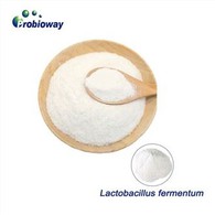 Lactobacillus Fermentum Tozu