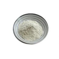Bacillus Coagulans Probiyotik